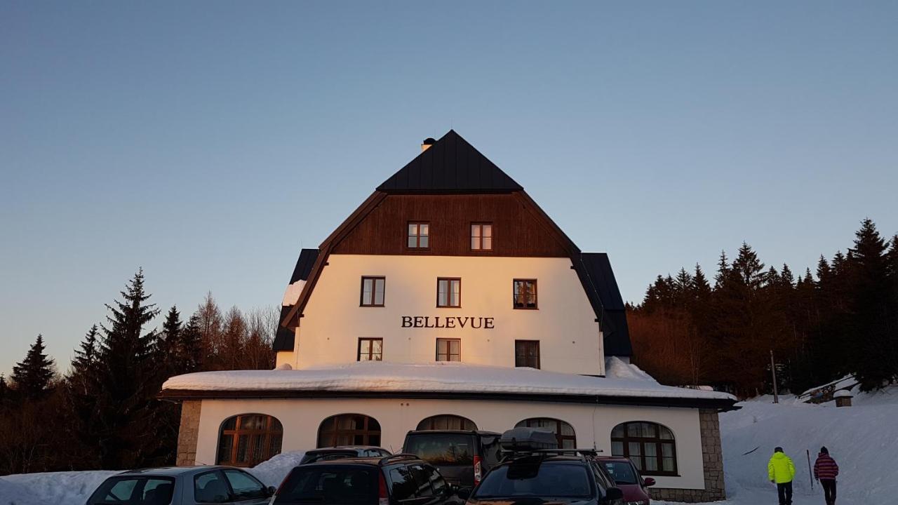 Luxusni Mezonetovy Apartman Bellevue - Novy Benecko Eksteriør bilde