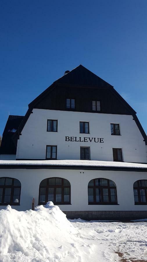 Luxusni Mezonetovy Apartman Bellevue - Novy Benecko Eksteriør bilde